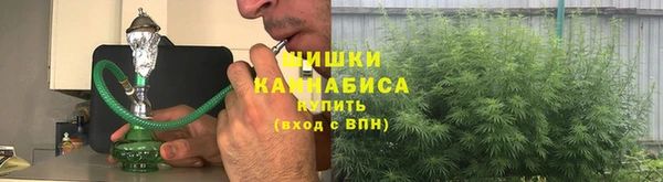 дурь Арсеньев
