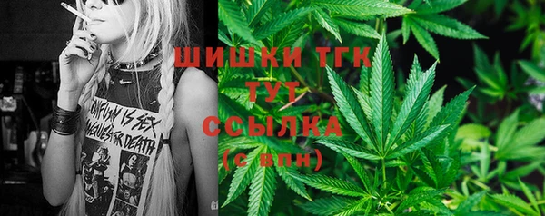 дурь Арсеньев