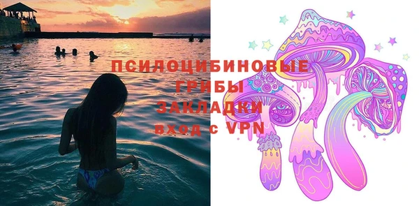 ПСИЛОЦИБИНОВЫЕ ГРИБЫ Аркадак