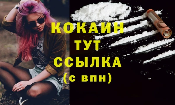 кокс Алзамай