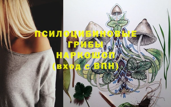 дурь Арсеньев