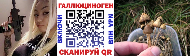 Галлюциногенные грибы Psilocybe  где продают   Покров 